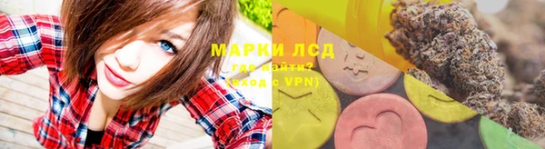 гашик Алексин