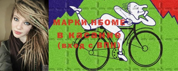 гашик Алексин