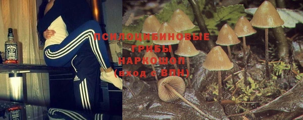 индика Алексеевка