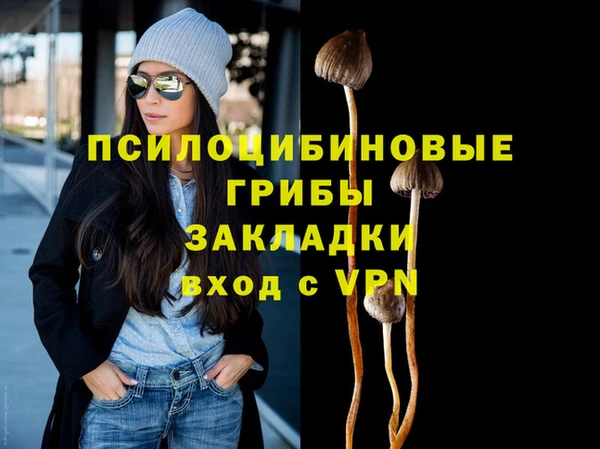 гашик Алексин