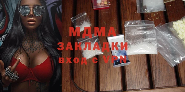 гашик Алексин