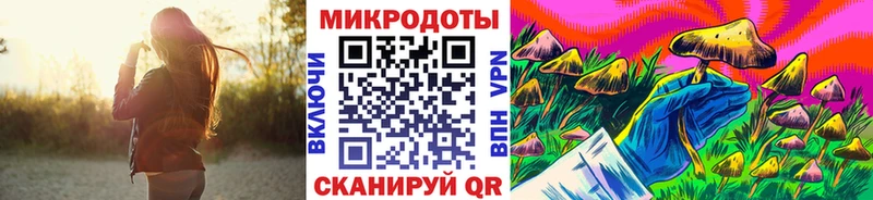 Галлюциногенные грибы GOLDEN TEACHER  где купить   Новоалександровск 