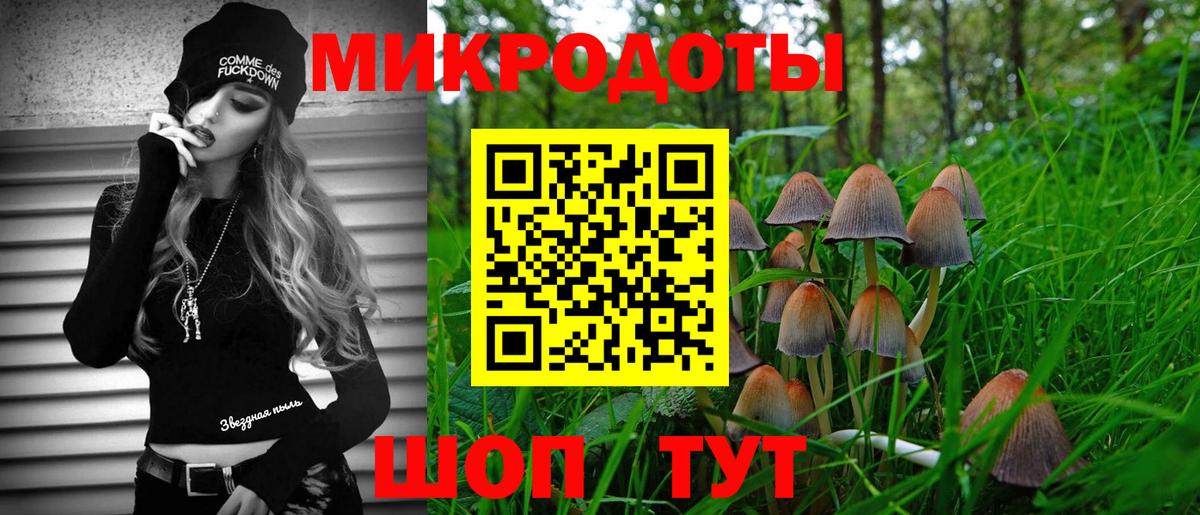 Псилоцибиновые грибы GOLDEN TEACHER  Псилоцибиновые грибы Cubensis  Вход с VPN  Новоалександровск 